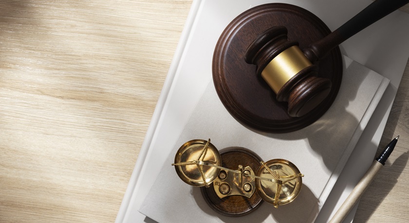 Litigation Services